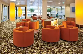 Shaw New Bay Carpet