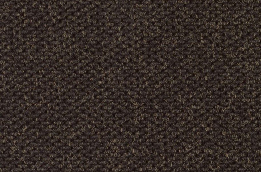 Shaw Succession II Walk-Off Carpet Tile