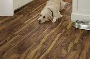 Shaw Paragon Plus 7" Rigid Core Vinyl Planks