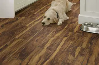 Shaw Paragon Plus 7" Rigid Core Vinyl Planks