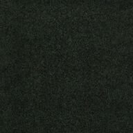 Shaw Softscape I Outdoor Carpet