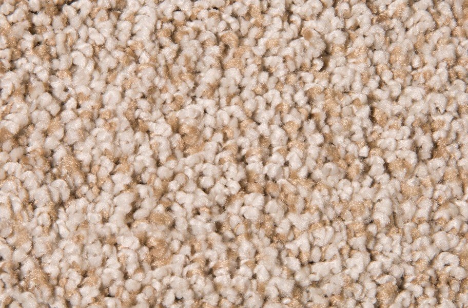 Air.o Fresh Start I Carpet with Pad