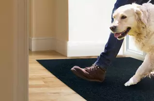 Peel & Stick Walk Off Tiles