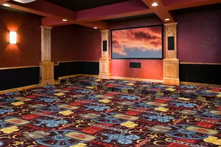 Joy Carpets Camera Ready Carpet