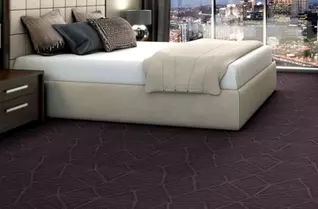 Shaw Refine Carpet