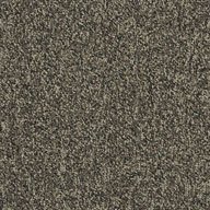 Shaw Scoreboard II Carpet