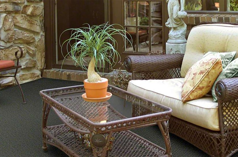 Shaw Gardenscape Outdoor Carpet Patio Carpeting