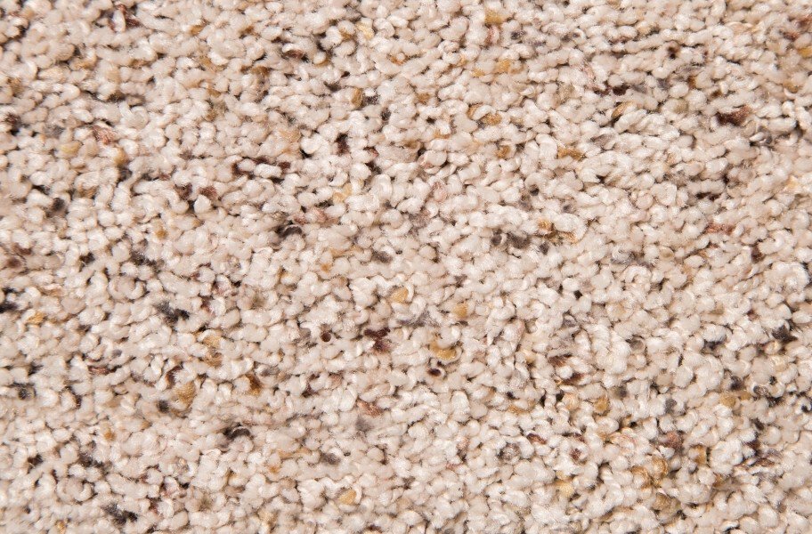 Air.o Changing Times I Carpet with Pad