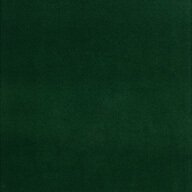 Dilour Green Indoor Outdoor Area Rug