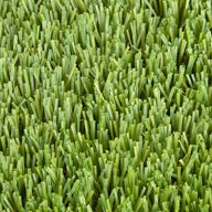 Monterey Elite Turf Rolls