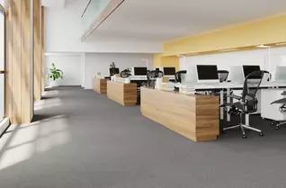 Pentz Oasis Carpet Tiles