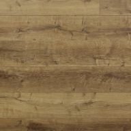 Vanderbilt Avenue Oak