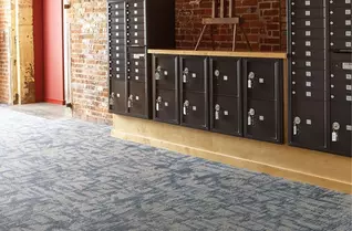 Shaw Wildstyle Carpet Tile