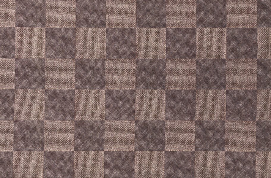 Checkered Indoor Outdoor Area Rug