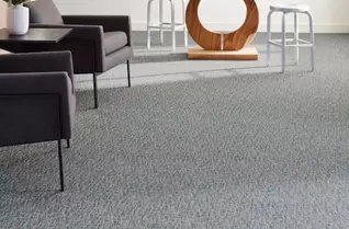 Shaw Engrain Carpet