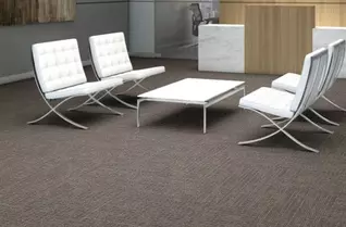 Shaw Weave It Carpet Tile