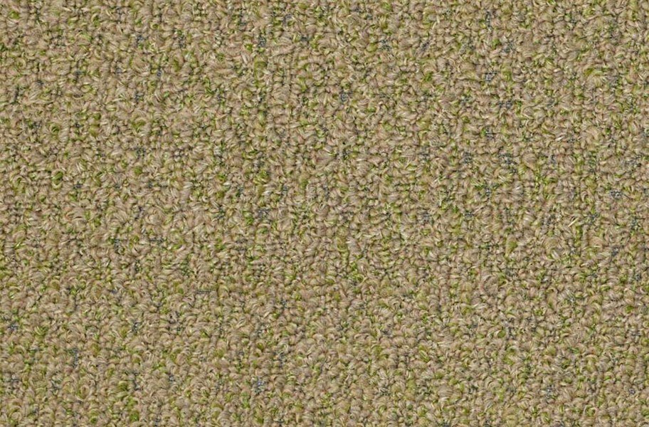 Shaw Gardenscape Outdoor Carpet