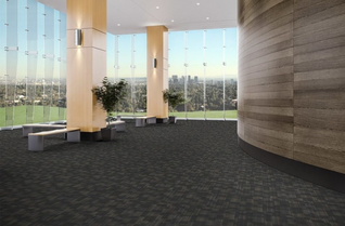 J&J Flooring Evolve Carpet Tile