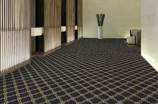 Shaw Cannonboro Carpet