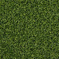 Premium Putting Green Turf Rolls