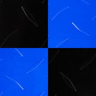 Black/Shelby Blue Checker