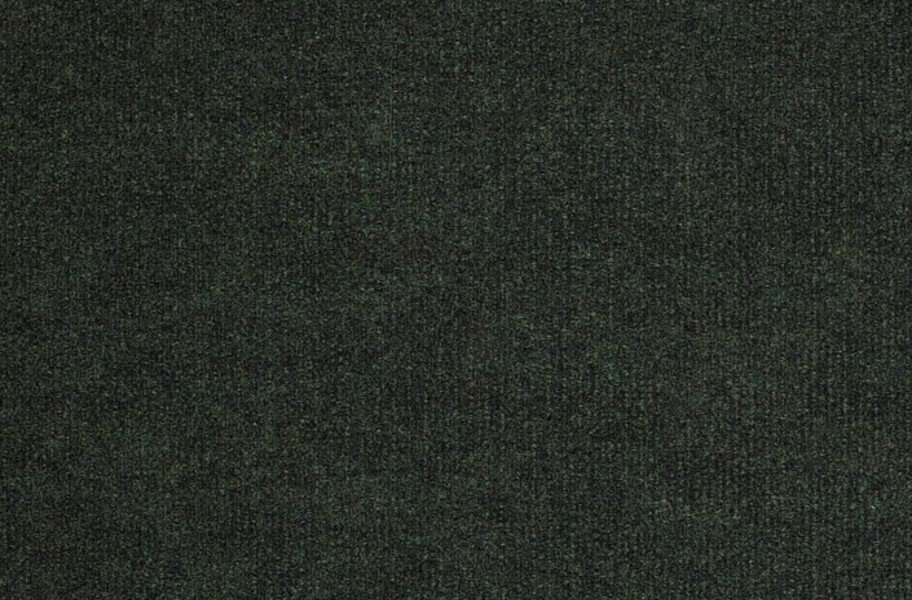 Shaw Backdrop I Outdoor Carpet