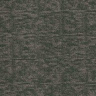 Shaw Elemental Carpet