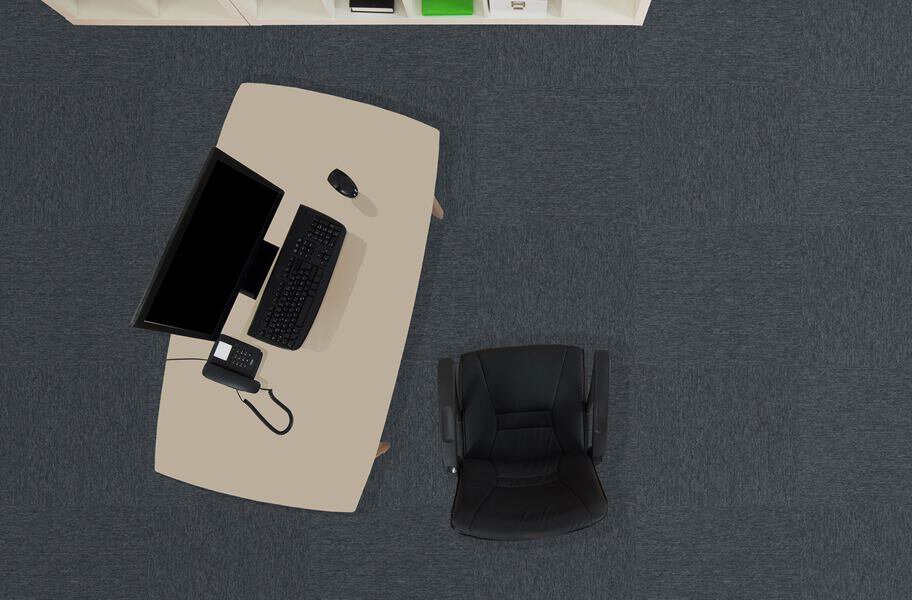 Pentz Fast Break Carpet Tiles