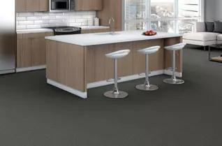 Shaw Profusion 20 Carpet