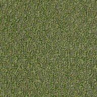 Shaw Gardenscape Outdoor Carpet