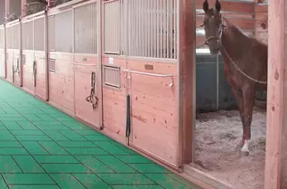 1" Horse Stall Tiles