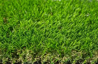 Eco Choice Artificial Turf Rolls