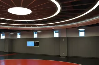 2' x 7' Wall Pads