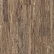 Lombardy Hickory