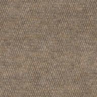 Shaw Bedecked Outdoor Carpet