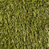 Summer Rye Turf Rolls