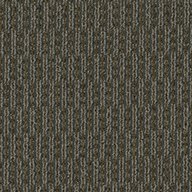 Pentz Rogue Carpet