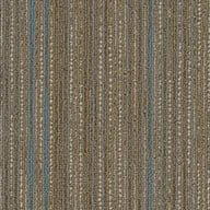 Shaw Stellar Carpet Planks