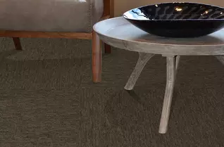 Pentz Fast Break Carpet Tiles