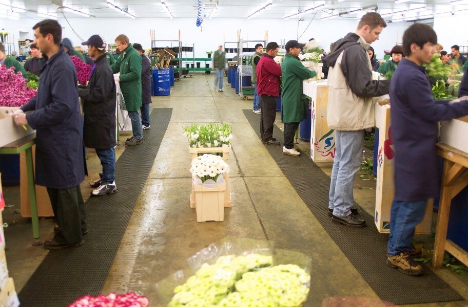 Plastex Heronair Drainage Mats