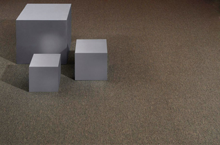 Shaw Capital III Carpet Tiles - Residential Modular Carpet Tiles