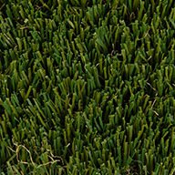 Beverly Premium Turf Rolls