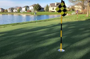 TruePutt Putting Green Turf Rolls