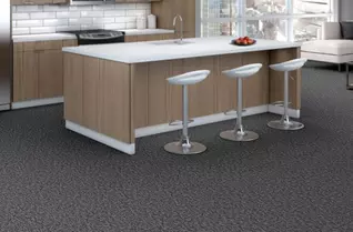 Shaw Elemental Carpet