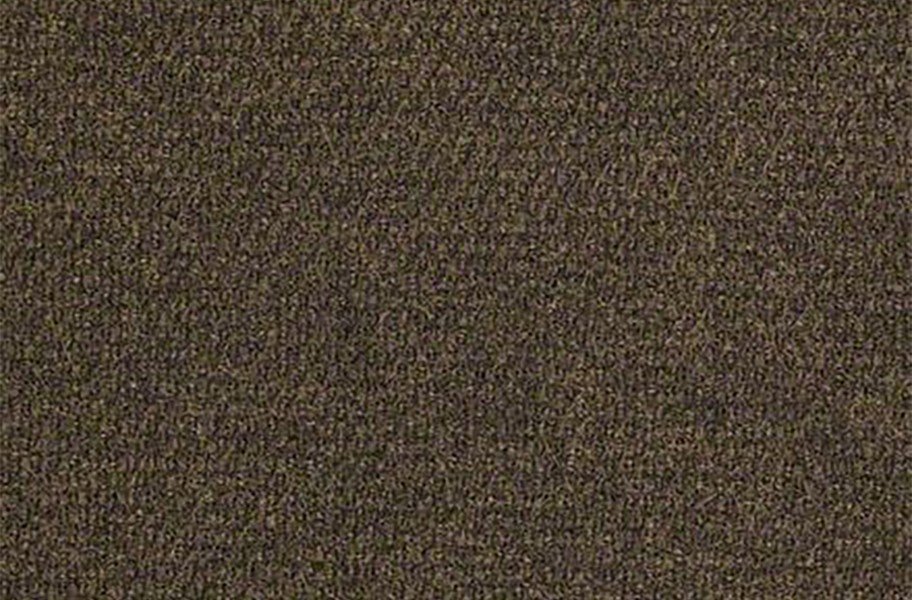 Shaw Succession II Outdoor Carpet