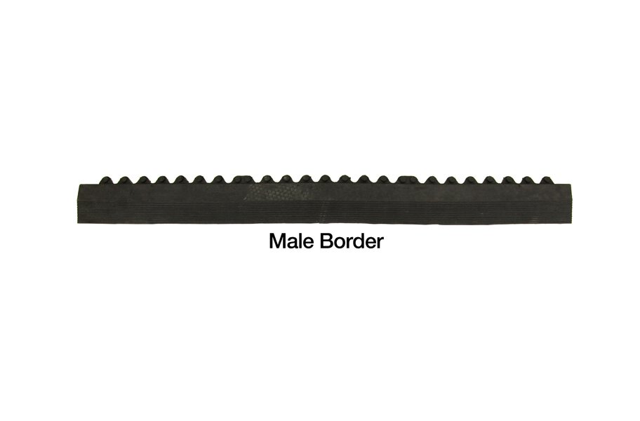 Evolution Ramps Male Border