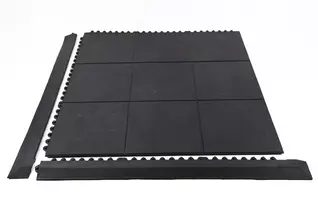 Evolution Ramps Male Border