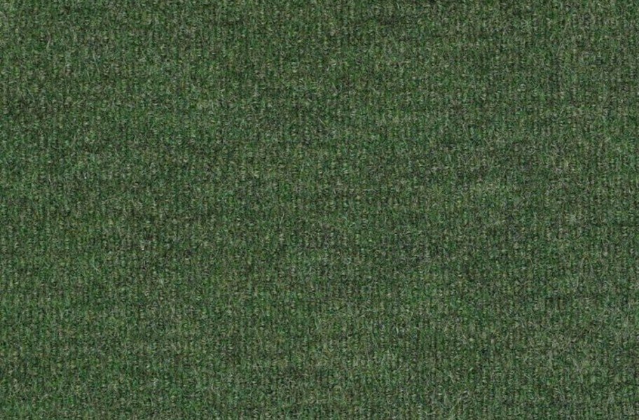 Shaw Bedecked Outdoor Carpet