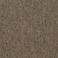 Shaw Capital III Carpet Tile