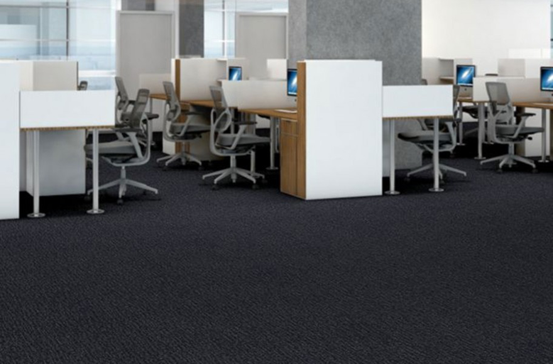 Philadelphia Commercial Step Right In Carpet Tile by Shaw